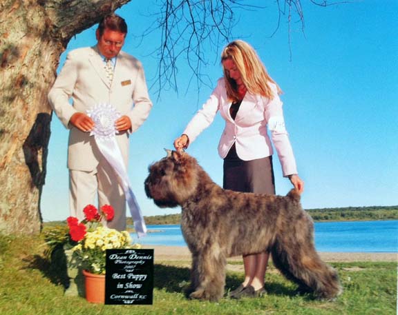 Banff - Best Puppy in Show