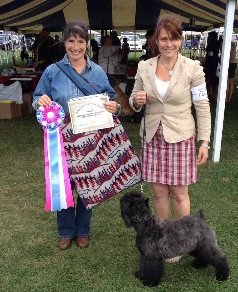 Adèle, de l'élevage Galheights, remporte le prix du meilleur chiot de la compétition.