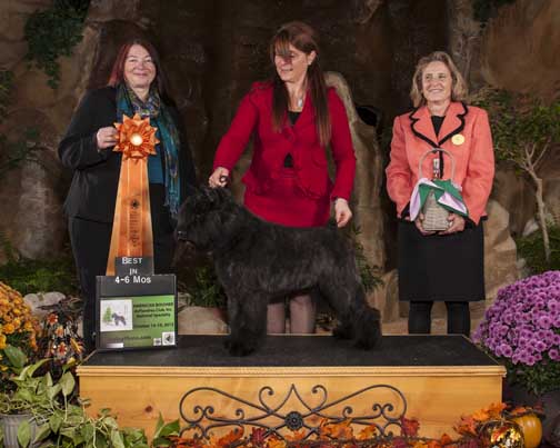 Adèle remporte le prix de Best Puppy