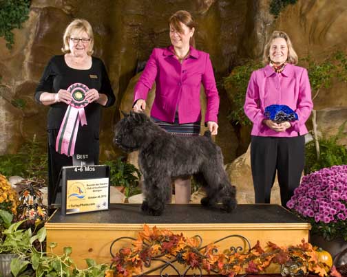 Adèle, best puppy à la spécialité régionale US