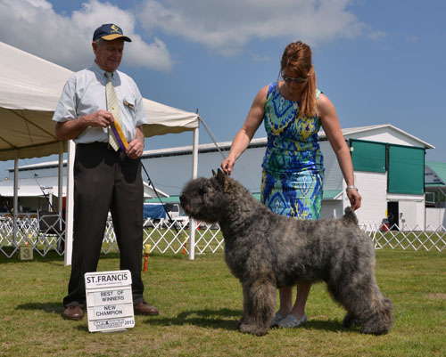 Zeke Champion en 4 shows