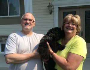 Cesar chiot bouvier des Flandres