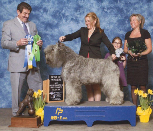 JAY-BEST of WINNER-NOUVEAU CHAMPION AMÉRICAIN