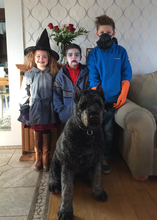 Spike nouvelle famille