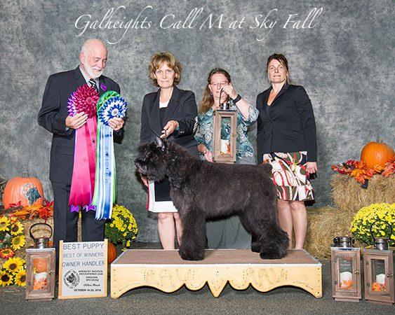 specialite-usa-2016-450px