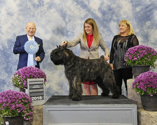 Bess novembre 2018 BPS