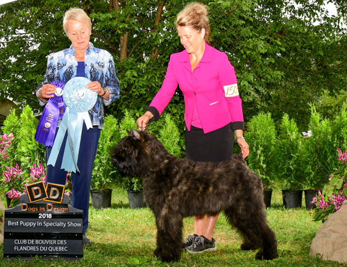 Bess specialite Québec