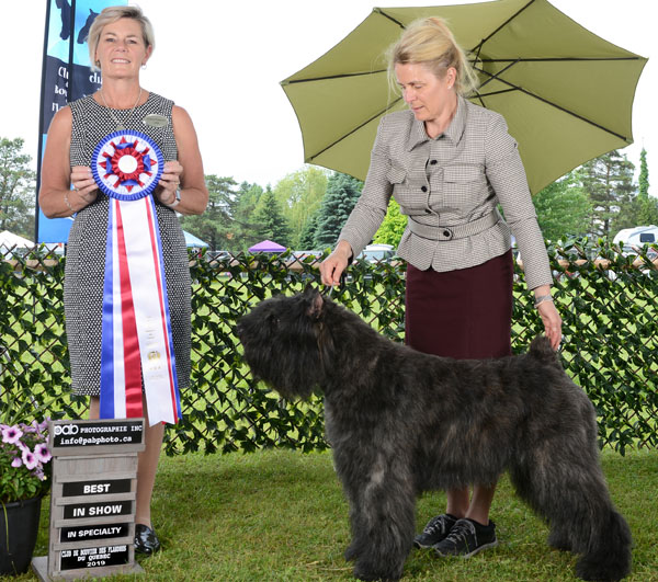 Bess meilleur de la specialité Québec 2019